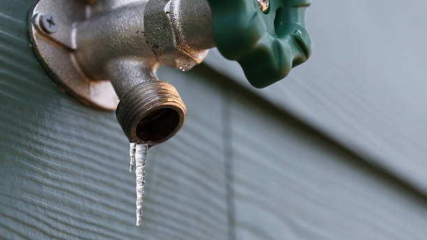 Best Pipe Repair Near Me  in Blackville, SC