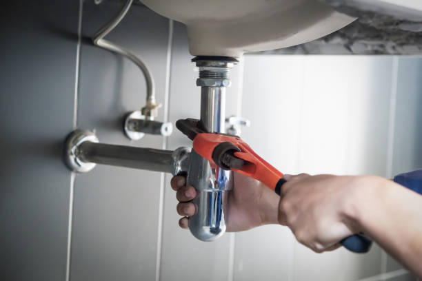 Best Commercial Plumbing Services  in Blackville, SC